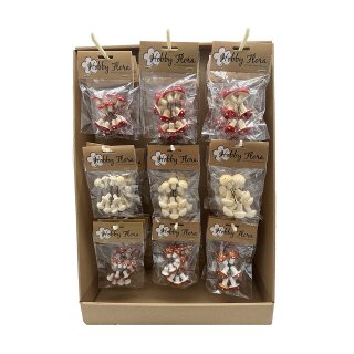 Display Pilzchen assortiert (1Stk)