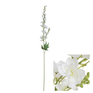 Blumenstiel Rittersporn