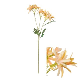 Blumenstiel Agapanthus