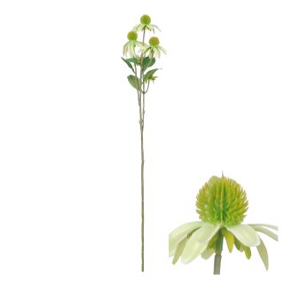 Blumenstiel Rudbeckia