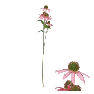 Blumenstiel Rudbeckia