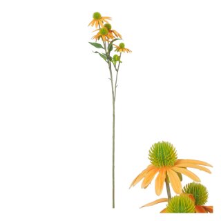 Blumenstiel Rudbeckia