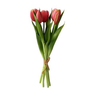 Tulpenbouqet 5-tlg.