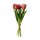 Tulpenbouqet 5-tlg.