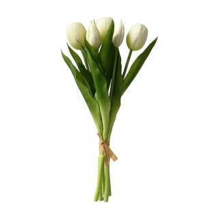 Tulpenbouqet 5-tlg.