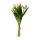 Tulpenbouqet 5-tlg.
