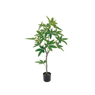 Pachira Aquatica im Topf 110cm