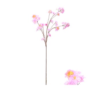 Blumenstiel Kirschbl&uuml;te