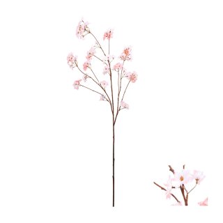Blumenstiel Kirschbl&uuml;te