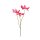 Blumenstiel G&auml;nsebl&uuml;mchen