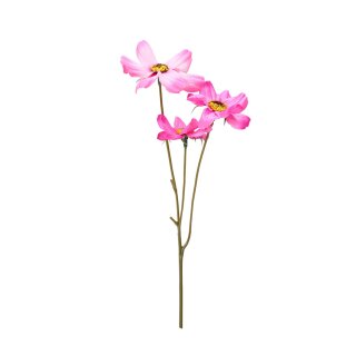 Blumenstiel G&auml;nsebl&uuml;mchen