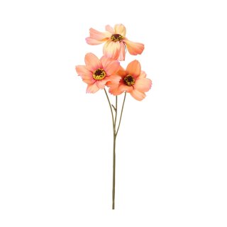 Blumenstiel G&auml;nsebl&uuml;mchen