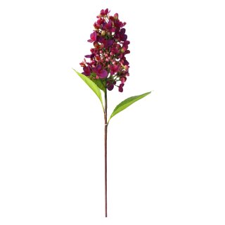 Blumenstiel Hortensie