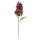 Blumenstiel Hortensie