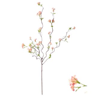Blumenstiel Bl&uuml;te