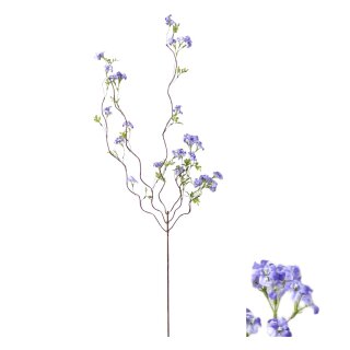 Blumenstiel Bl&uuml;te
