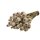 Papaver-Bund 180g