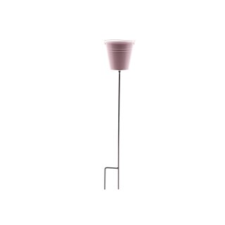 Planzstecker Eimi