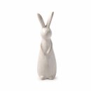 Hase Ambroise S