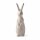 Hase Ambroise L