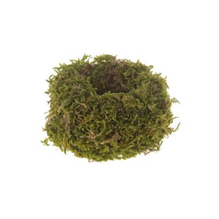 Green moss bird nest 9cm