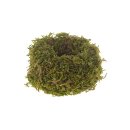 Green moss bird nest 9cm
