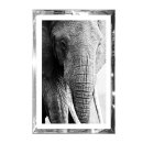 Bild Elefantenkopf Glas Spiegelrahmen schwarz/weiss