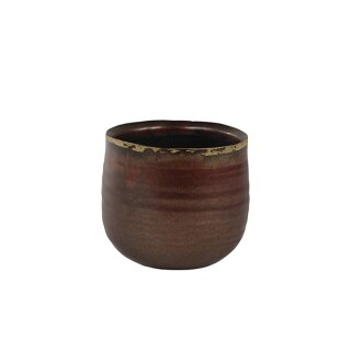 Topf Iris rust D14 H12