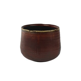 Topf  Iris rust D15 H14