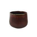 Topf  Iris rust D15 H14