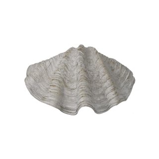 Polyresin shell 21x15x7.5cm