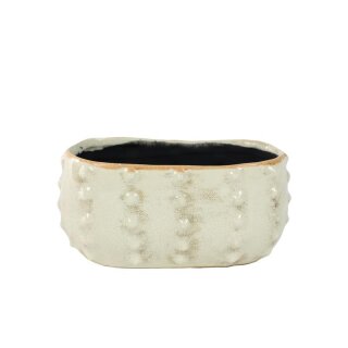 Planter Cactus ivory D16x8 H7