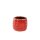 Pot Cactus red D9x9 H8
