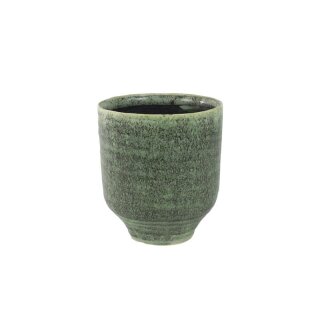 Pot Fenna thyme D12 H14
