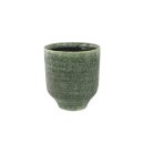 Pot Fenna thyme D12 H14
