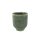 Pot Fenna thyme D12 H14