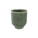 Pot Fenna thyme D14 H17