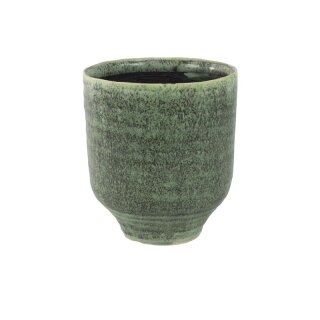 Pot Fenna thyme D17 H19