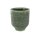 Pot Fenna thyme D17 H19