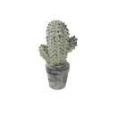 Figuur Cactus anthracite D15x10 H29