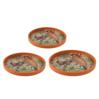 Tray botanic Deco mehrfarbig D27 H2