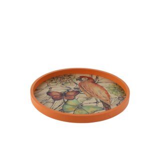 Tray botanic Deco mehrfarbig D14 H2