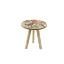 Tafel botanisch  D15 H15