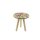 Tafel botanisch  D15 H15
