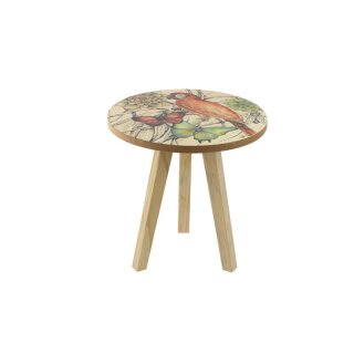 Tafel botanisch  D20 H20