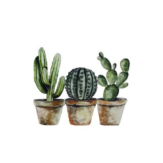 Scherm cactus 35x30