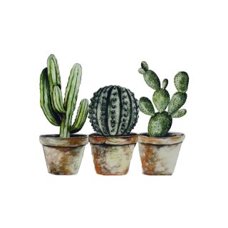 Scherm cactus 47x42