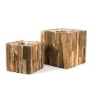 PD Pflanz-Wuerfel  driftwood