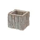 Tree bark square pot w/pl