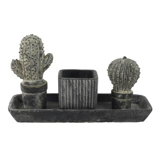 Giftbox Tropical anthracite rect.